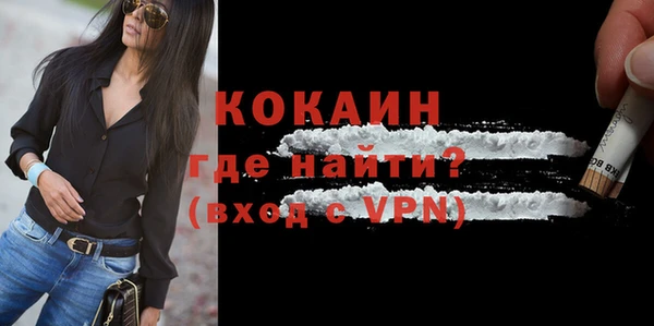 спайс Гусев